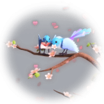 鹊情书
