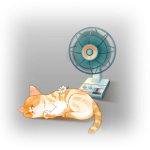 温和猫