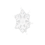 一起看雪