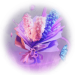 蝶恋花