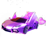 鲜花炫跑