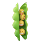 逗笑你