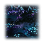 花海c(声音)