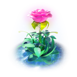 富贵花开