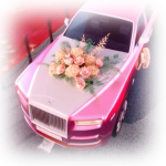 华丽婚车